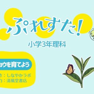 ぷれすた！３年理科「チョウを育てよう」